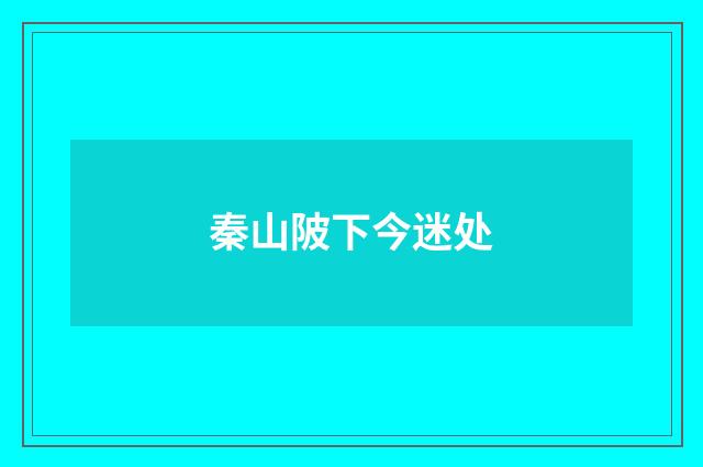 秦山陂下今迷处