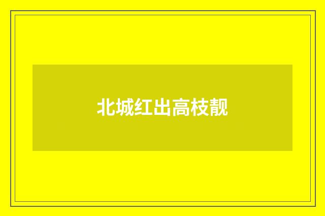 北城红出高枝靓