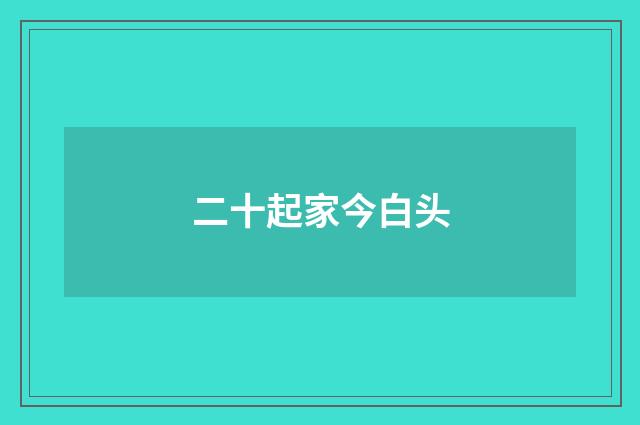 二十起家今白头