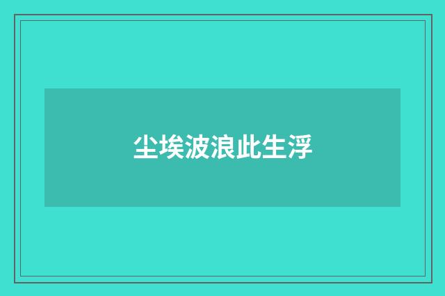 尘埃波浪此生浮