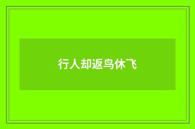 行人却返鸟休飞