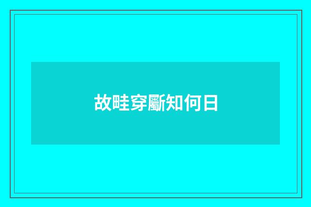 故畦穿斸知何日