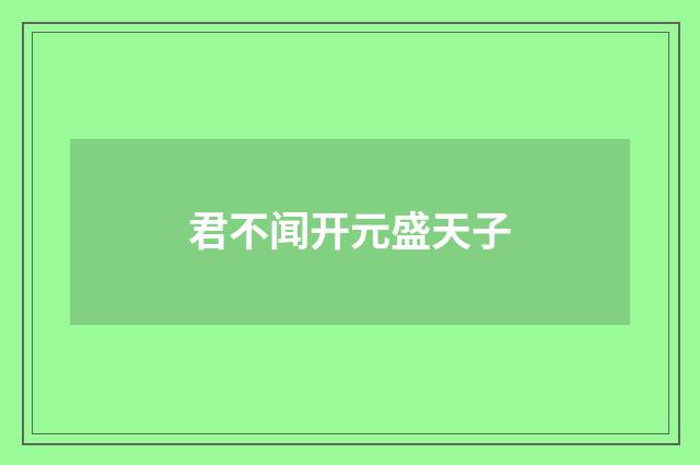 君不闻开元盛天子