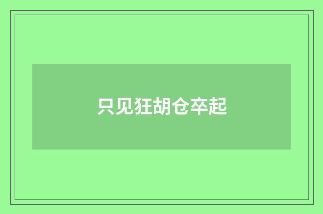 只见狂胡仓卒起