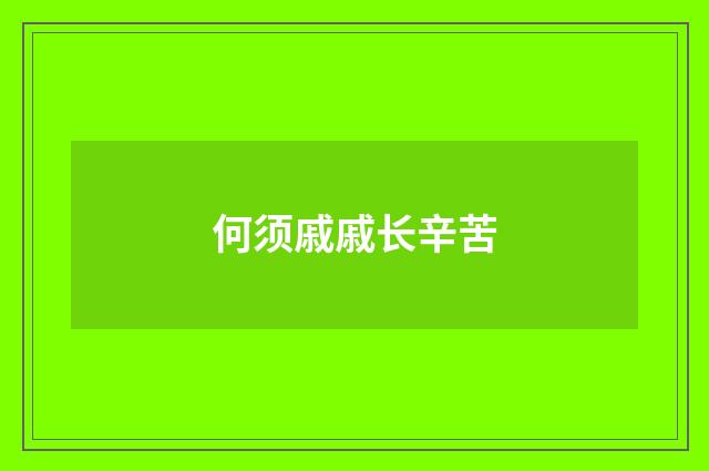 何须戚戚长辛苦