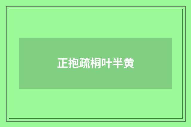 正抱疏桐叶半黄
