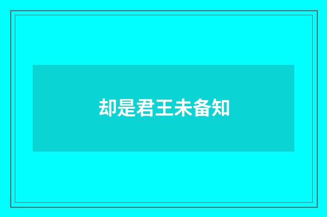 却是君王未备知