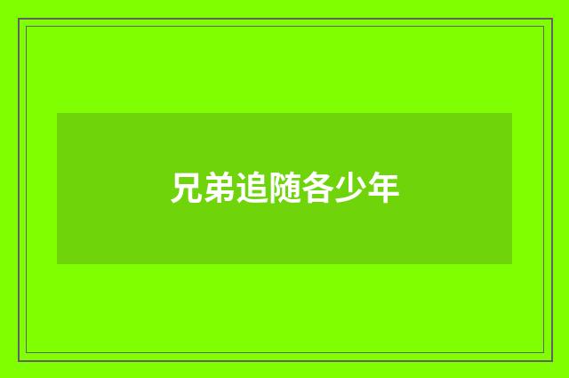 兄弟追随各少年