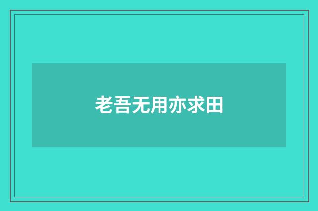 老吾无用亦求田