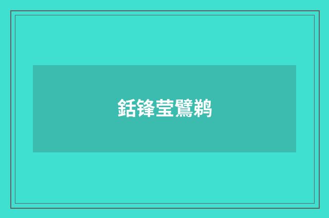 銛锋莹鷿鹈