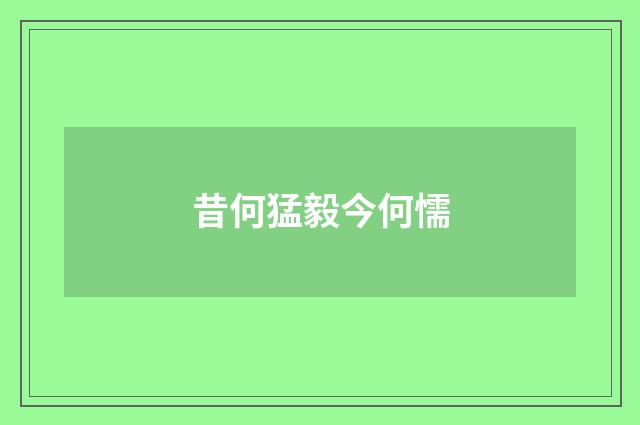昔何猛毅今何懦