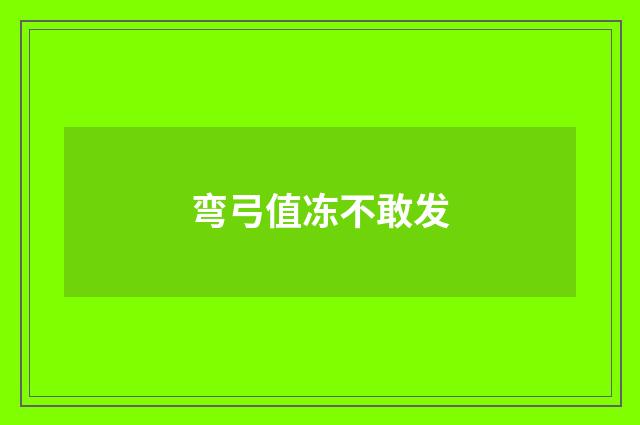 弯弓值冻不敢发