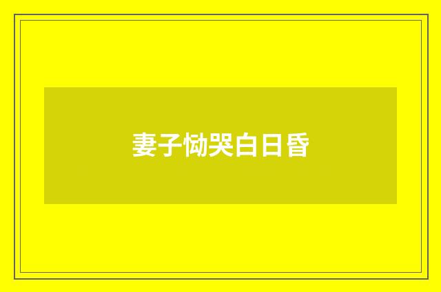 妻子恸哭白日昏