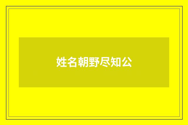 姓名朝野尽知公