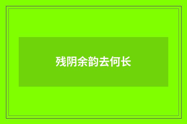 残阴余韵去何长