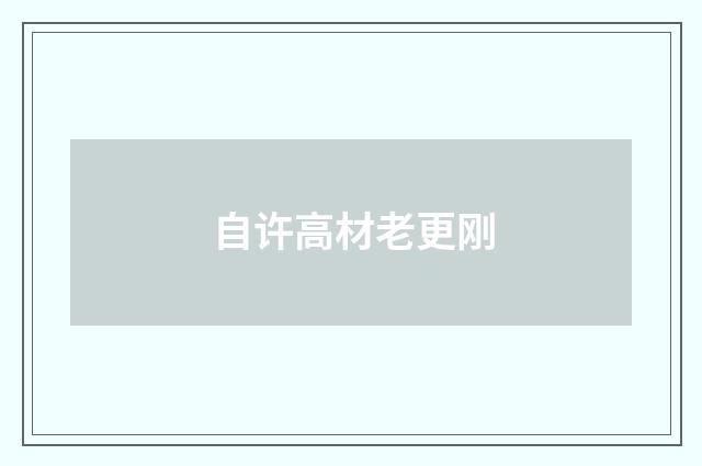 自许高材老更刚