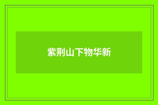 紫荆山下物华新