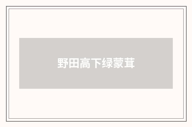 野田高下绿蒙茸