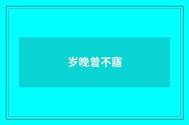 岁晚曾不寤