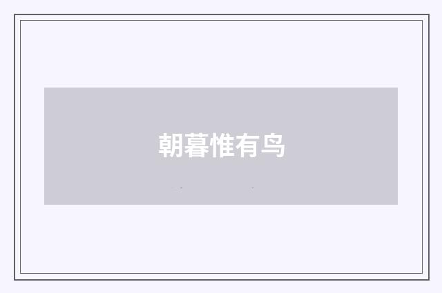朝暮惟有鸟