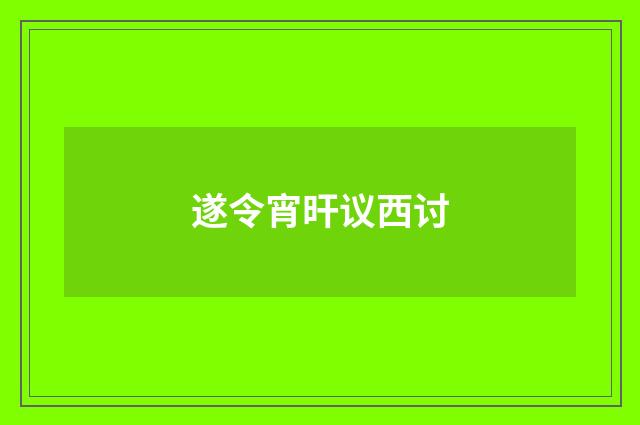 遂令宵旰议西讨