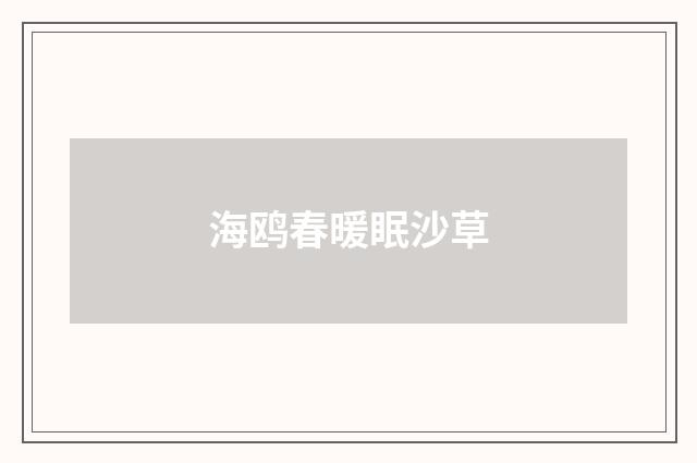 海鸥春暖眠沙草