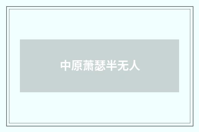 中原萧瑟半无人