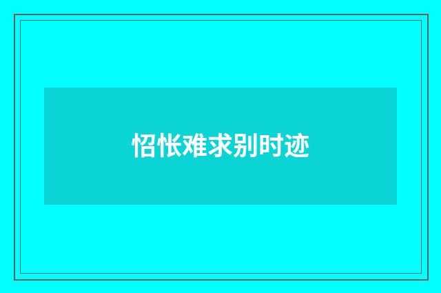 怊怅难求别时迹