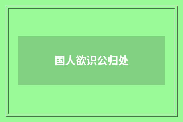 国人欲识公归处