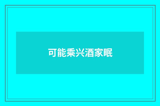 可能乘兴酒家眠