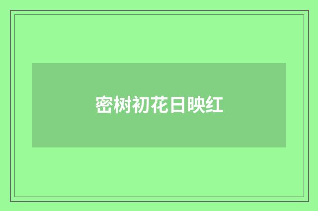 密树初花日映红