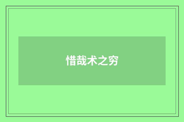 惜哉术之穷