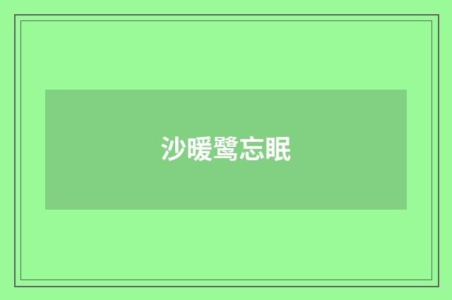 沙暖鹭忘眠