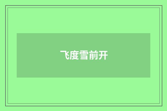 飞度雪前开