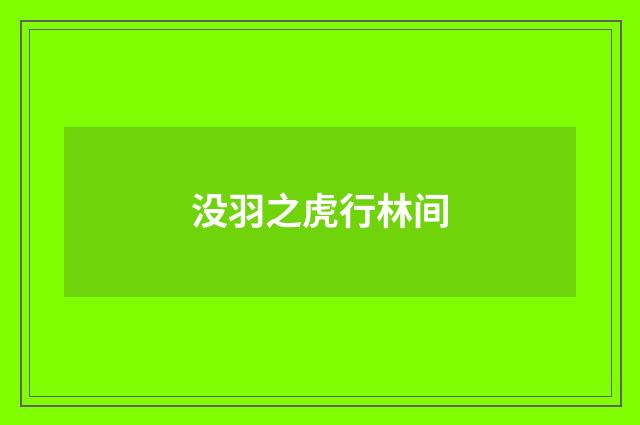 没羽之虎行林间