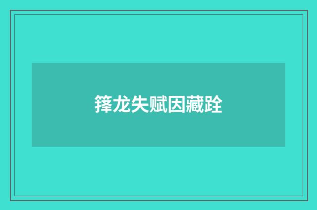 箨龙失赋因藏跧