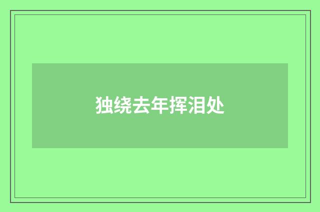 独绕去年挥泪处