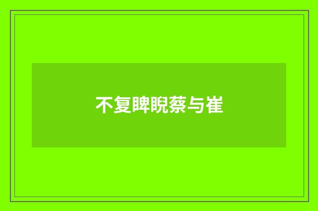 不复睥睨蔡与崔
