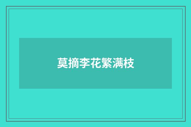 莫摘李花繁满枝