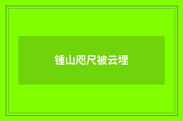 锺山咫尺被云埋