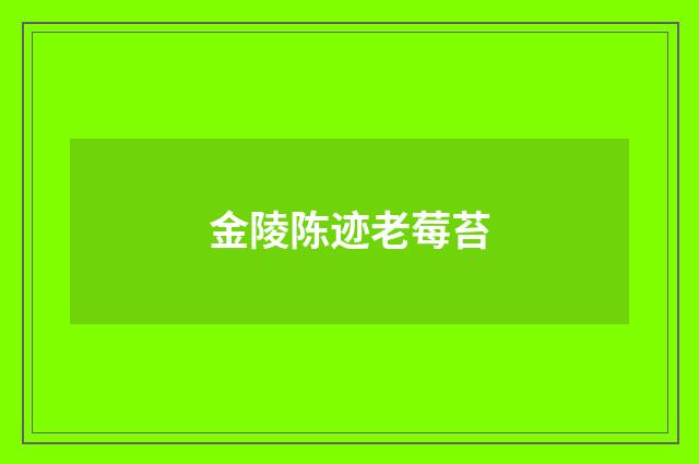 金陵陈迹老莓苔