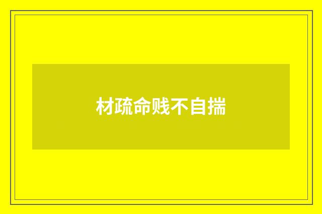 材疏命贱不自揣