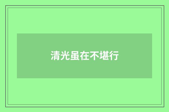清光虽在不堪行