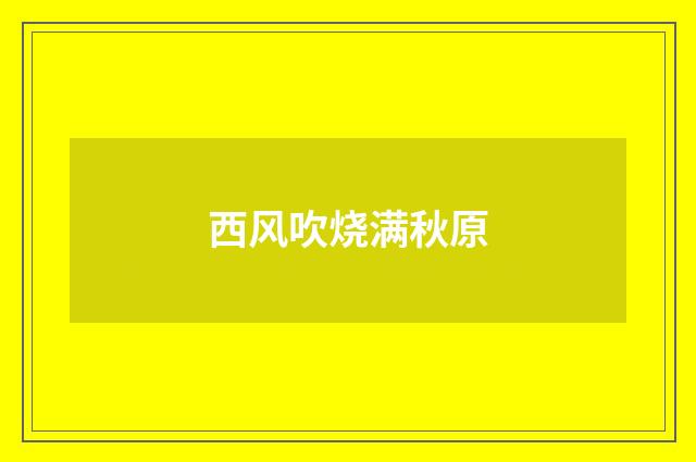 西风吹烧满秋原
