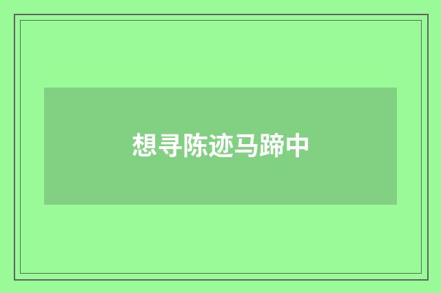 想寻陈迹马蹄中