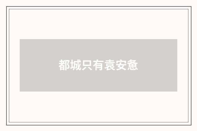 都城只有袁安惫