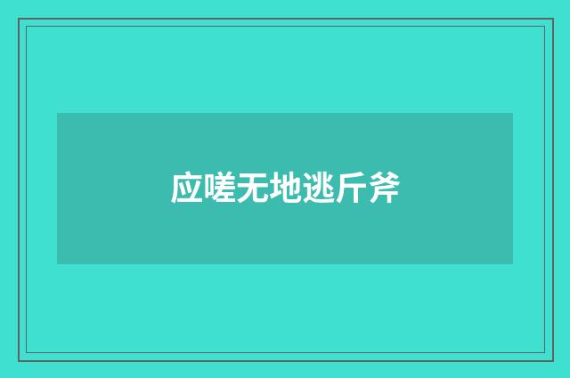 应嗟无地逃斤斧