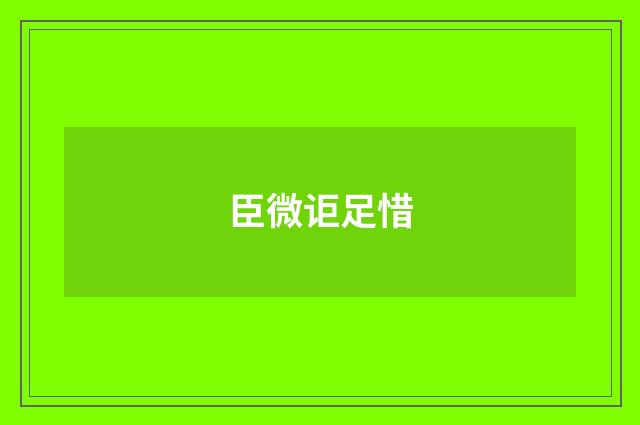 臣微讵足惜