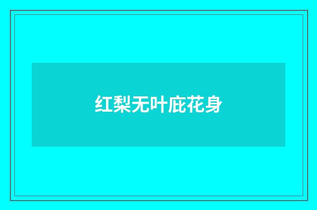 红梨无叶庇花身