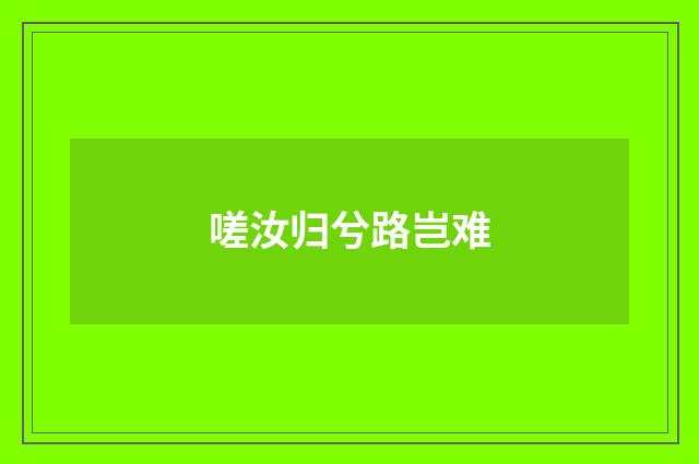 嗟汝归兮路岂难